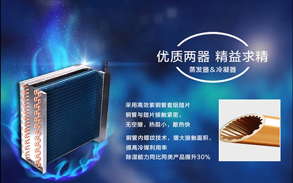 如何防霉，除濕機是關鍵