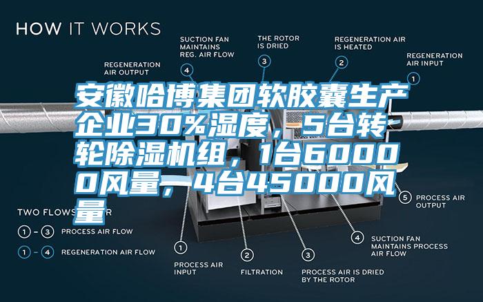 安徽哈博集團軟膠囊生產(chǎn)企業(yè)30%濕度，5臺轉(zhuǎn)輪除濕機組，1臺60000風量，4臺45000風量