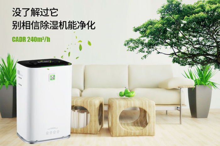 一到回南天狗狗就感冒+皮膚病，怎么辦？