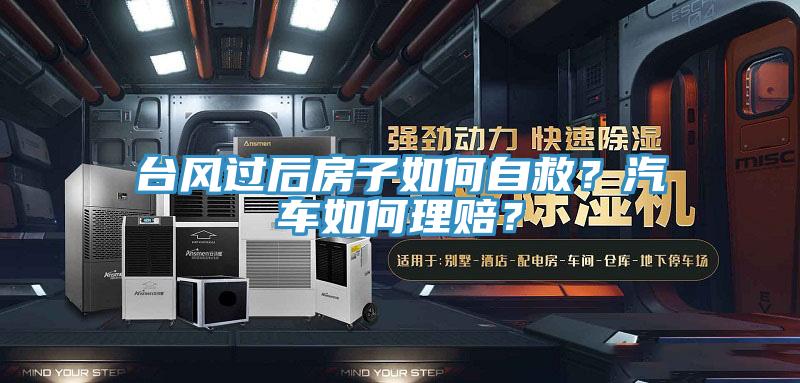 臺風過后房子如何自救？汽車如何理賠？