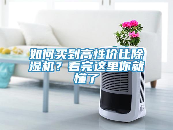 如何買到高性價比除濕機？看完這里你就懂了