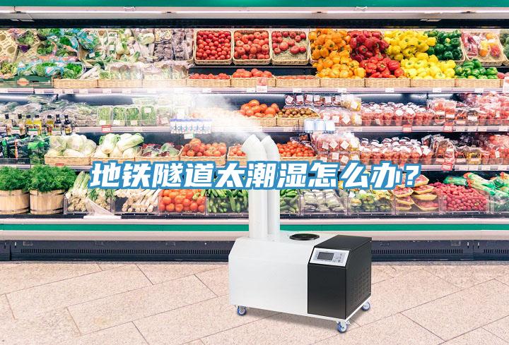 地鐵隧道太潮濕怎么辦？