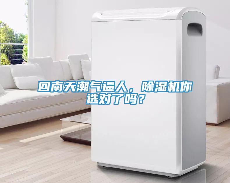 回南天潮氣逼人，除濕機你選對了嗎？