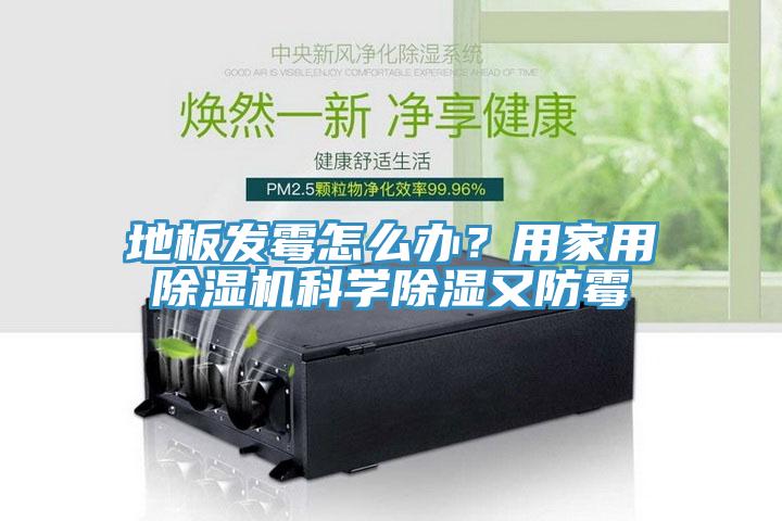 地板發(fā)霉怎么辦？用家用除濕機(jī)科學(xué)除濕又防霉