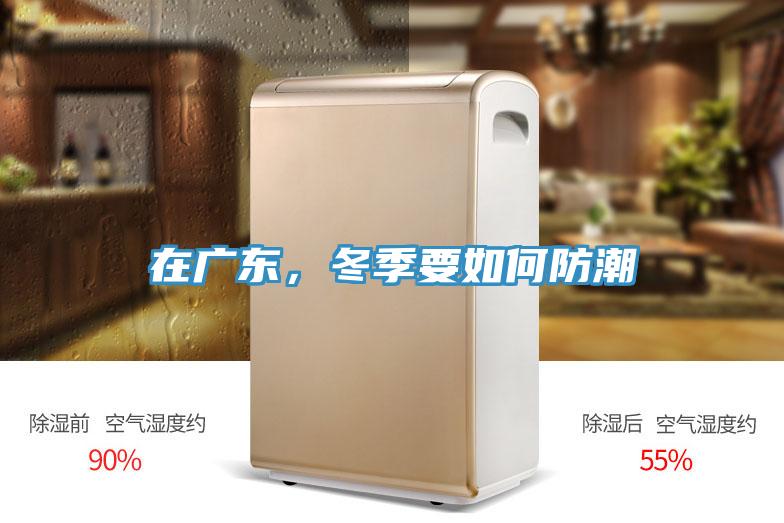 在廣東，冬季要如何防潮