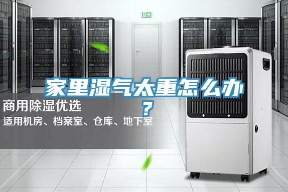 家里濕氣太重怎么辦？