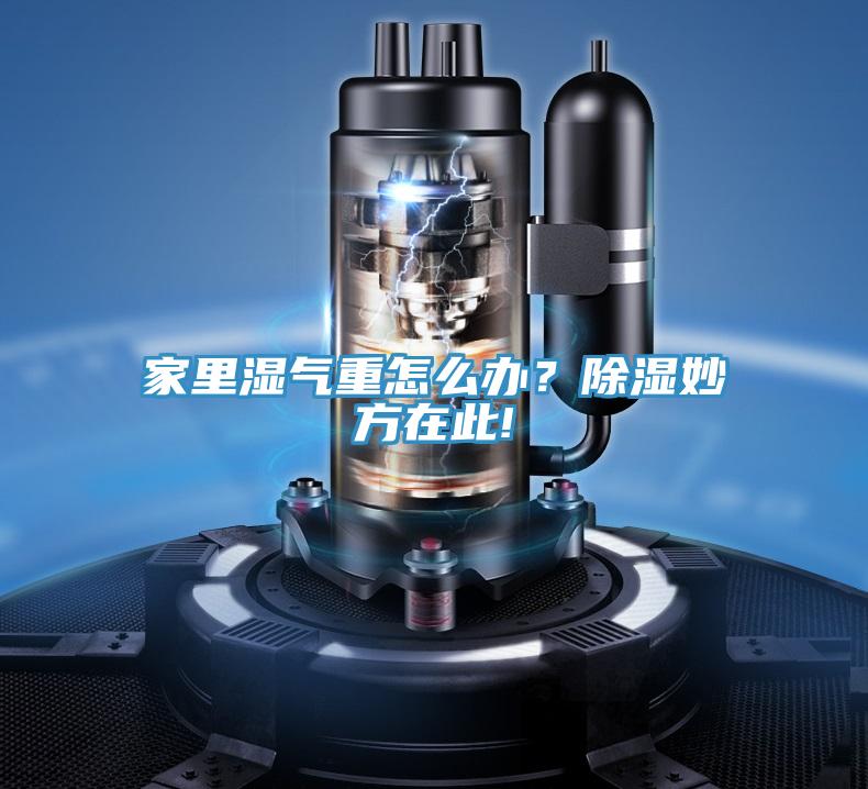 家里濕氣重怎么辦？除濕妙方在此!