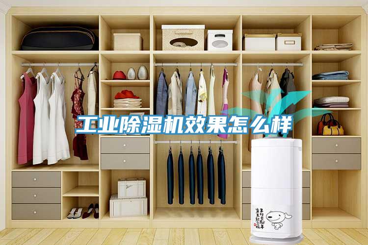 工業除濕機效果怎么樣
