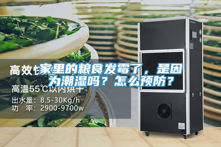家里的糧食發(fā)霉了，是因為潮濕嗎？怎么預(yù)防？