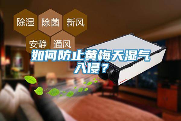 如何防止黃梅天濕氣入侵？