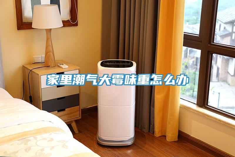 家里潮氣大霉味重怎么辦