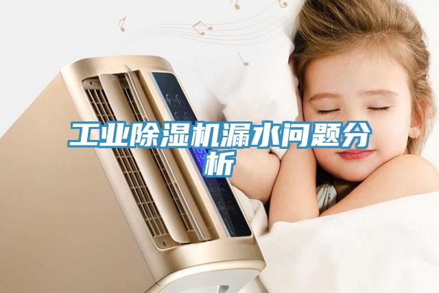 工業(yè)除濕機漏水問題分析