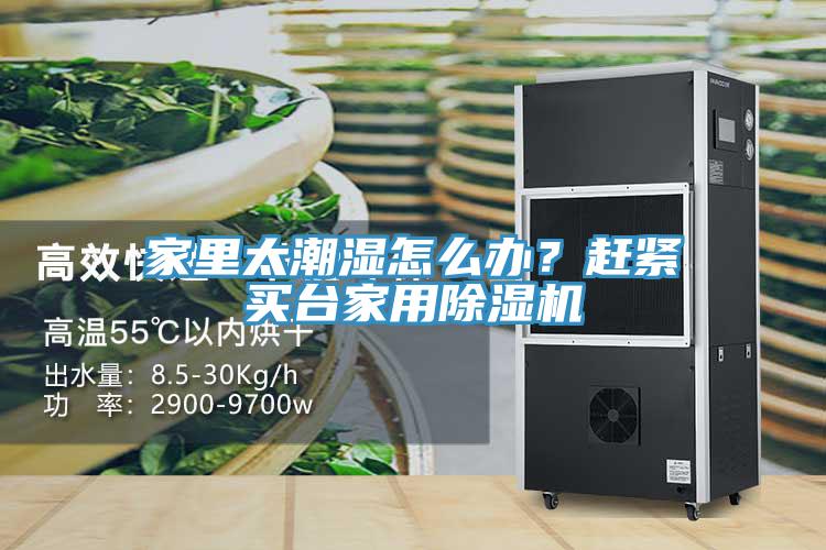 家里太潮濕怎么辦？趕緊買臺家用除濕機