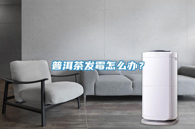 普洱茶發霉怎么辦?