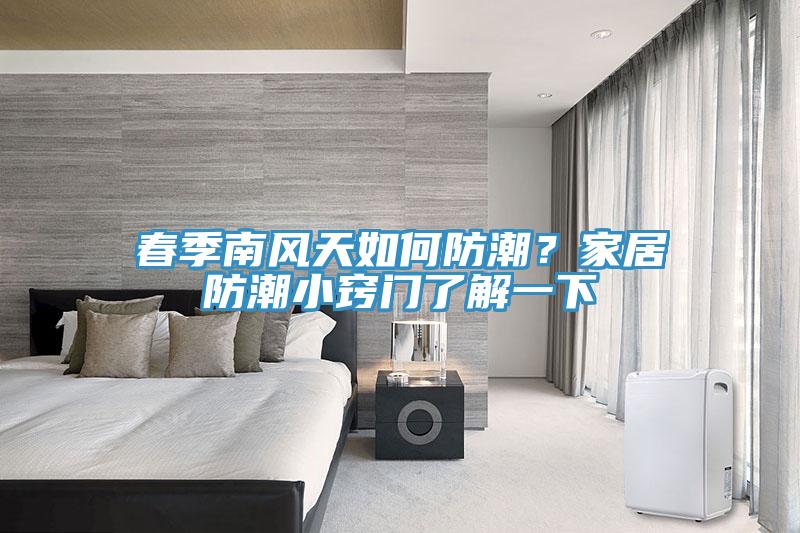 春季南風天如何防潮？家居防潮小竅門了解一下