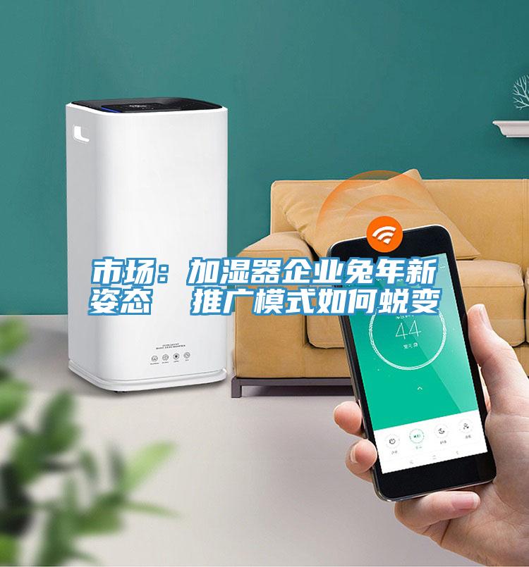 市場：加濕器企業兔年新姿態  推廣模式如何蛻變