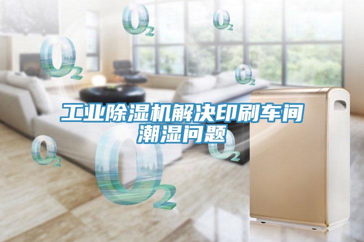 工業(yè)除濕機解決印刷車間潮濕問題
