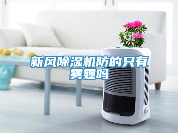 新風除濕機防的只有霧霾嗎