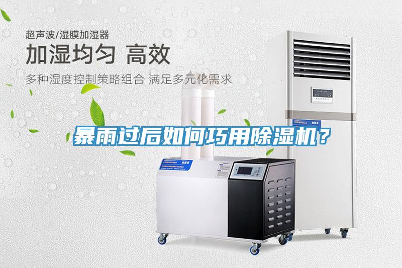 暴雨過后如何巧用除濕機？