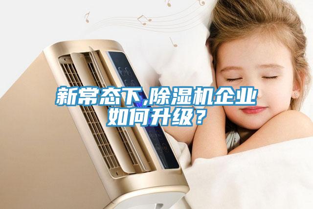 新常態下,除濕機企業如何升級？