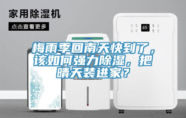 梅雨季回南天快到了，該如何強力除濕，把晴天裝進家？