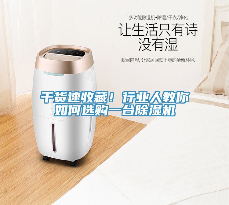 干貨速收藏！行業人教你如何選購一臺除濕機