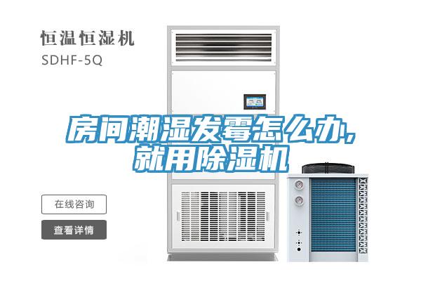 房間潮濕發霉怎么辦,就用除濕機