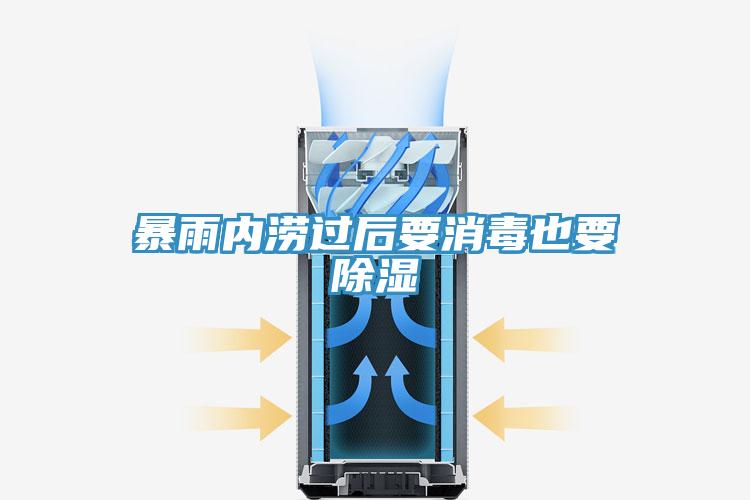 暴雨內澇過后要消毒也要除濕