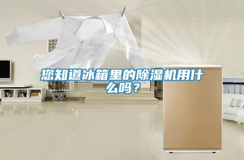 您知道冰箱里的除濕機用什么嗎？