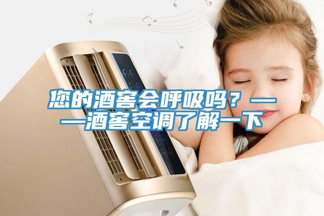 您的酒窖會呼吸嗎？——酒窖空調了解一下
