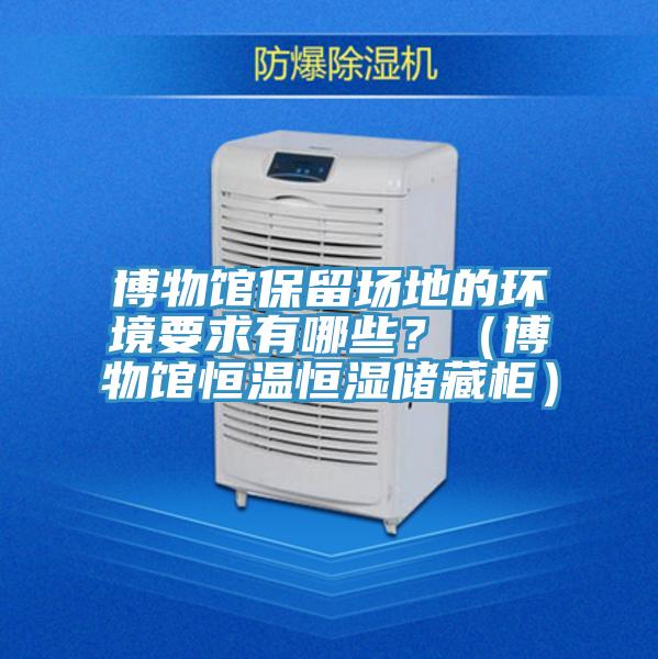 博物館保留場地的環境要求有哪些？（博物館恒溫恒濕儲藏柜）