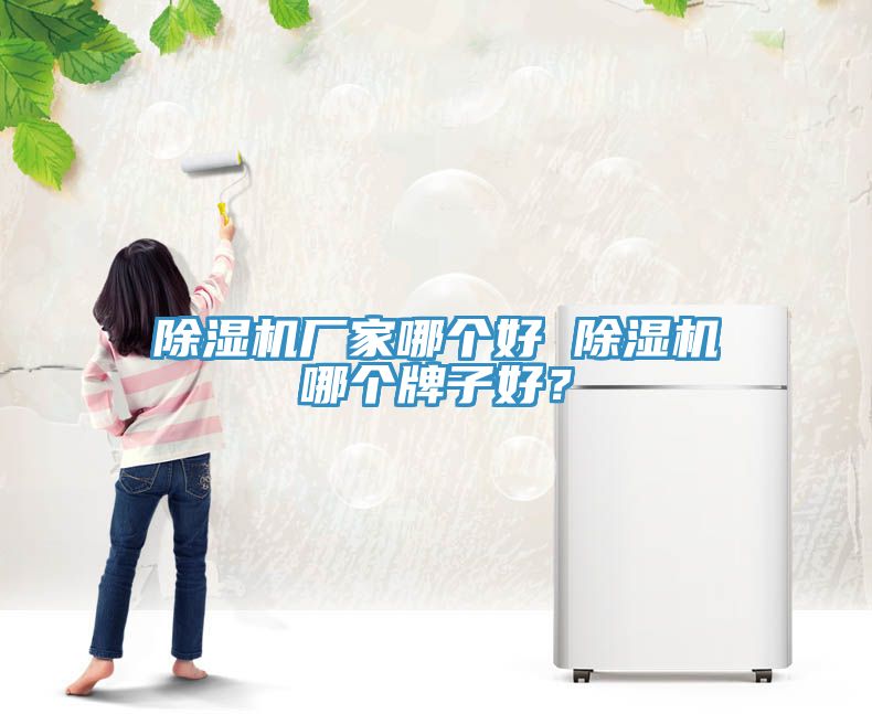 除濕機廠家哪個好 除濕機哪個牌子好？