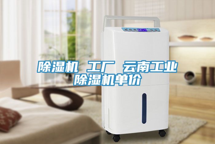 除濕機 工廠 云南工業除濕機單價