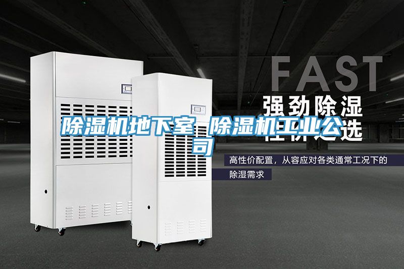 除濕機地下室 除濕機工業(yè)公司