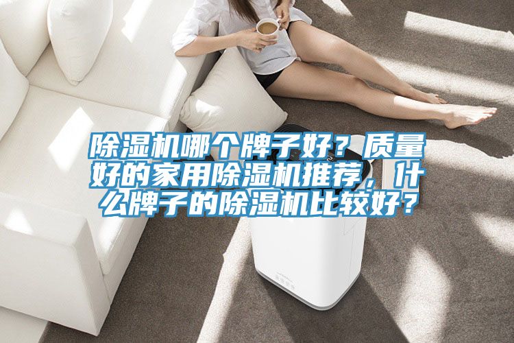 除濕機哪個牌子好？質(zhì)量好的家用除濕機推薦，什么牌子的除濕機比較好？