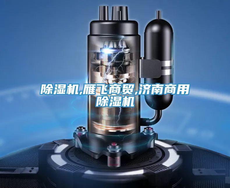 除濕機,雁飛商貿,濟南商用除濕機