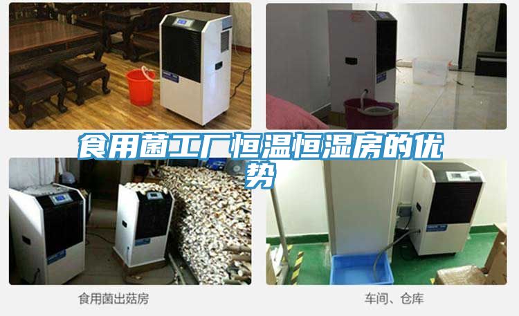 食用菌工廠恒溫恒濕房的優勢