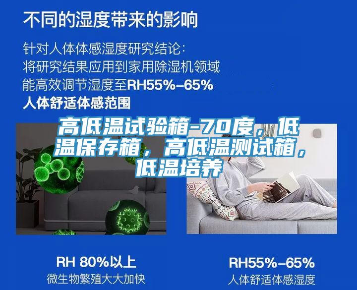 高低溫試驗(yàn)箱-70度，低溫保存箱，高低溫測試箱，低溫培養(yǎng)