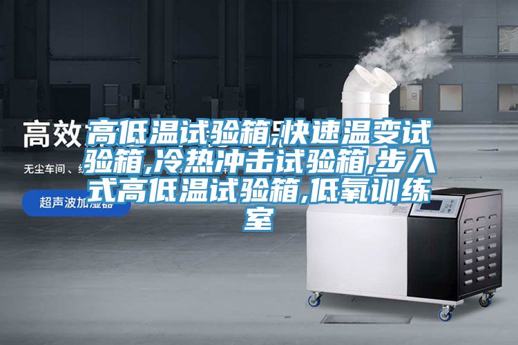 高低溫試驗(yàn)箱,快速溫變試驗(yàn)箱,冷熱沖擊試驗(yàn)箱,步入式高低溫試驗(yàn)箱,低氧訓(xùn)練室