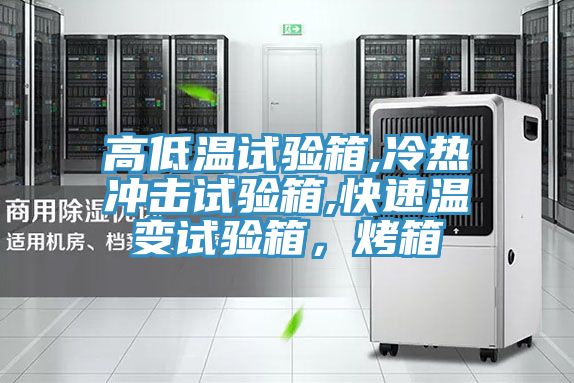 高低溫試驗(yàn)箱,冷熱沖擊試驗(yàn)箱,快速溫變試驗(yàn)箱，烤箱