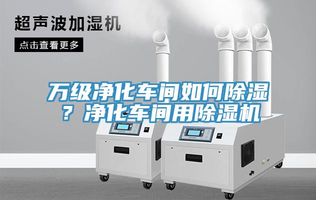 萬(wàn)級(jí)凈化車(chē)間如何除濕？?jī)艋?chē)間用除濕機(jī)