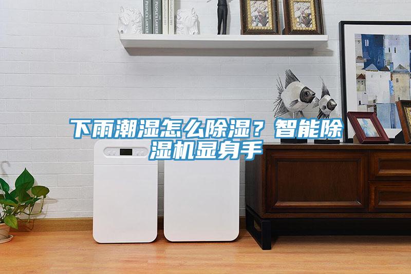 下雨潮濕怎么除濕？智能除濕機顯身手