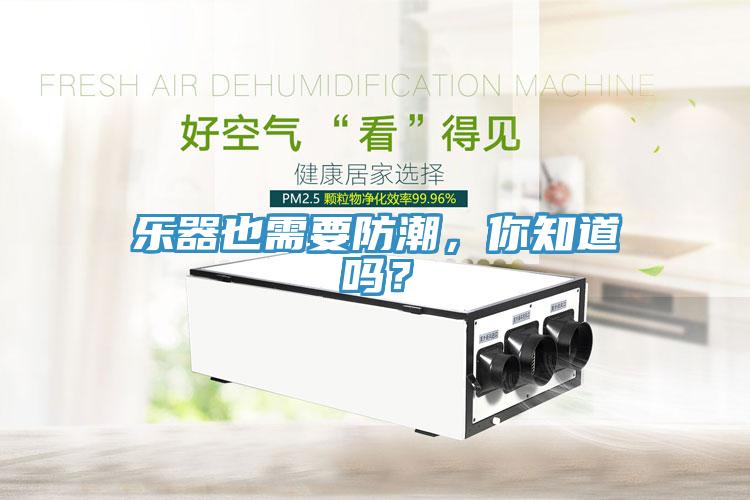 樂器也需要防潮，你知道嗎？