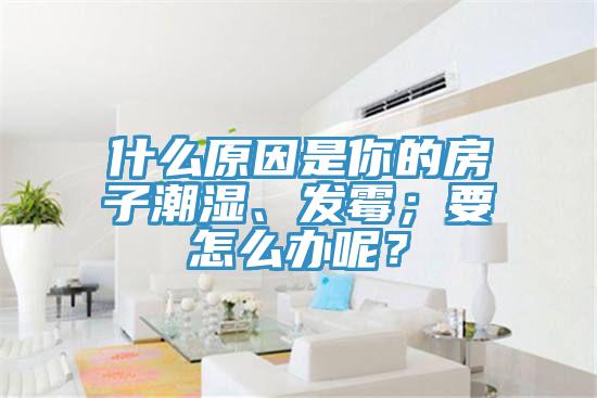 什么原因是你的房子潮濕、發(fā)霉；要怎么辦呢？
