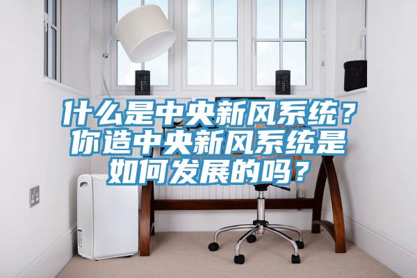 什么是中央新風系統？你造中央新風系統是如何發展的嗎？