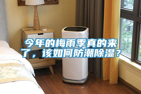 今年的梅雨季真的來了，該如何防潮除濕？