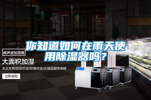 你知道如何在雨天使用除濕器嗎？