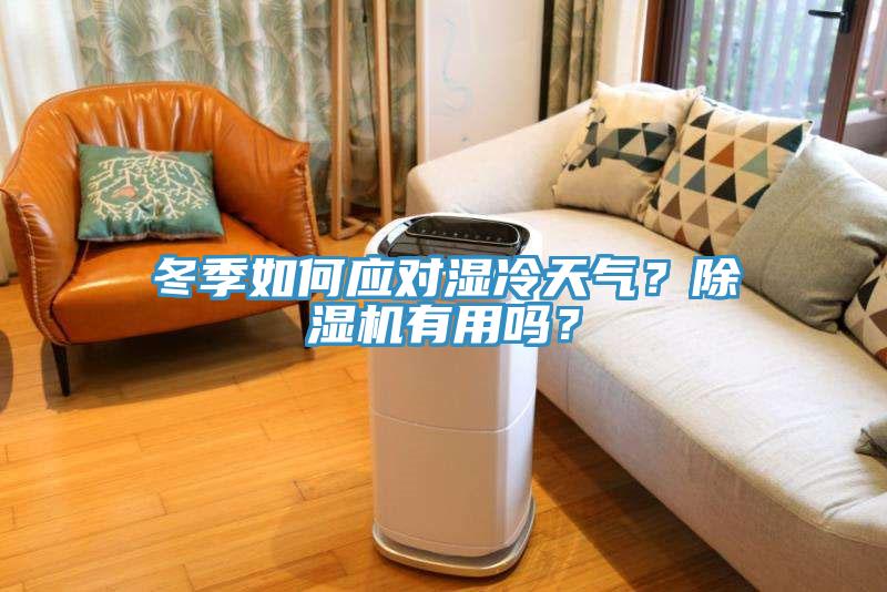 冬季如何應對濕冷天氣？除濕機有用嗎？