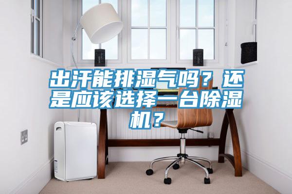 出汗能排濕氣嗎？還是應(yīng)該選擇一臺(tái)除濕機(jī)？