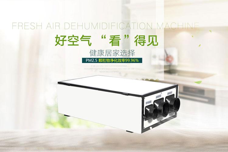 千元內除濕機就可以解決家庭車庫潮濕問題
